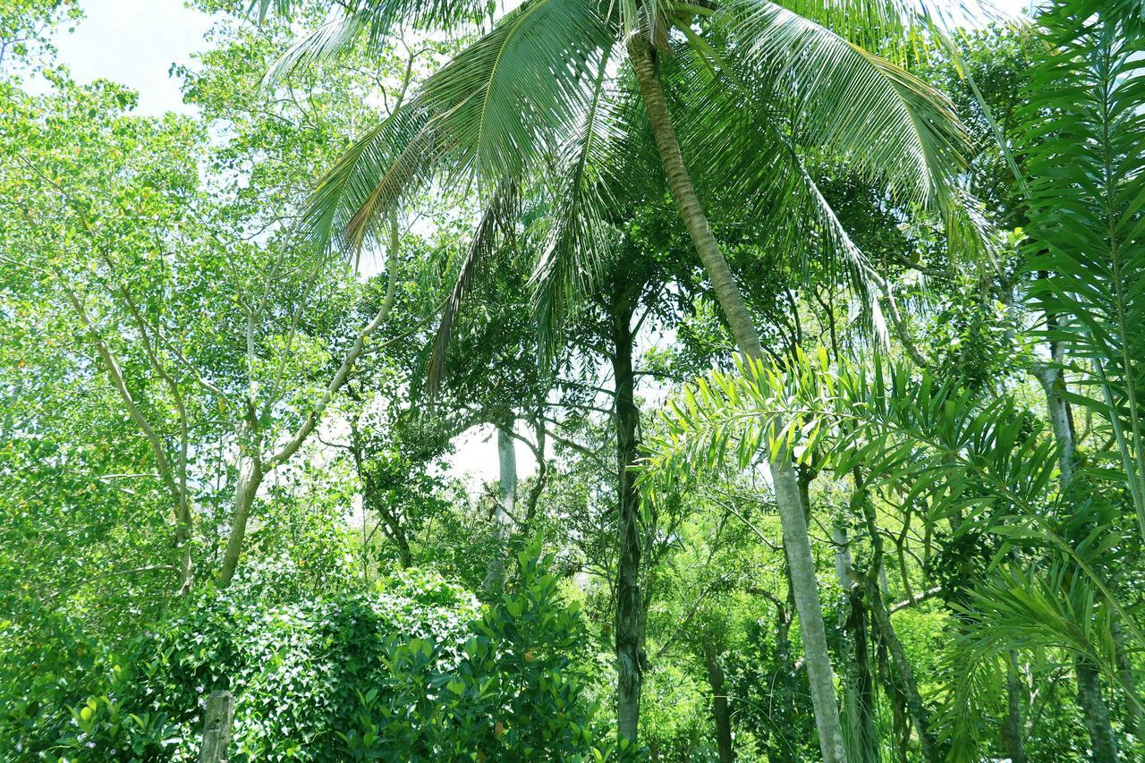 Villa Royce Kandy Exterior foto